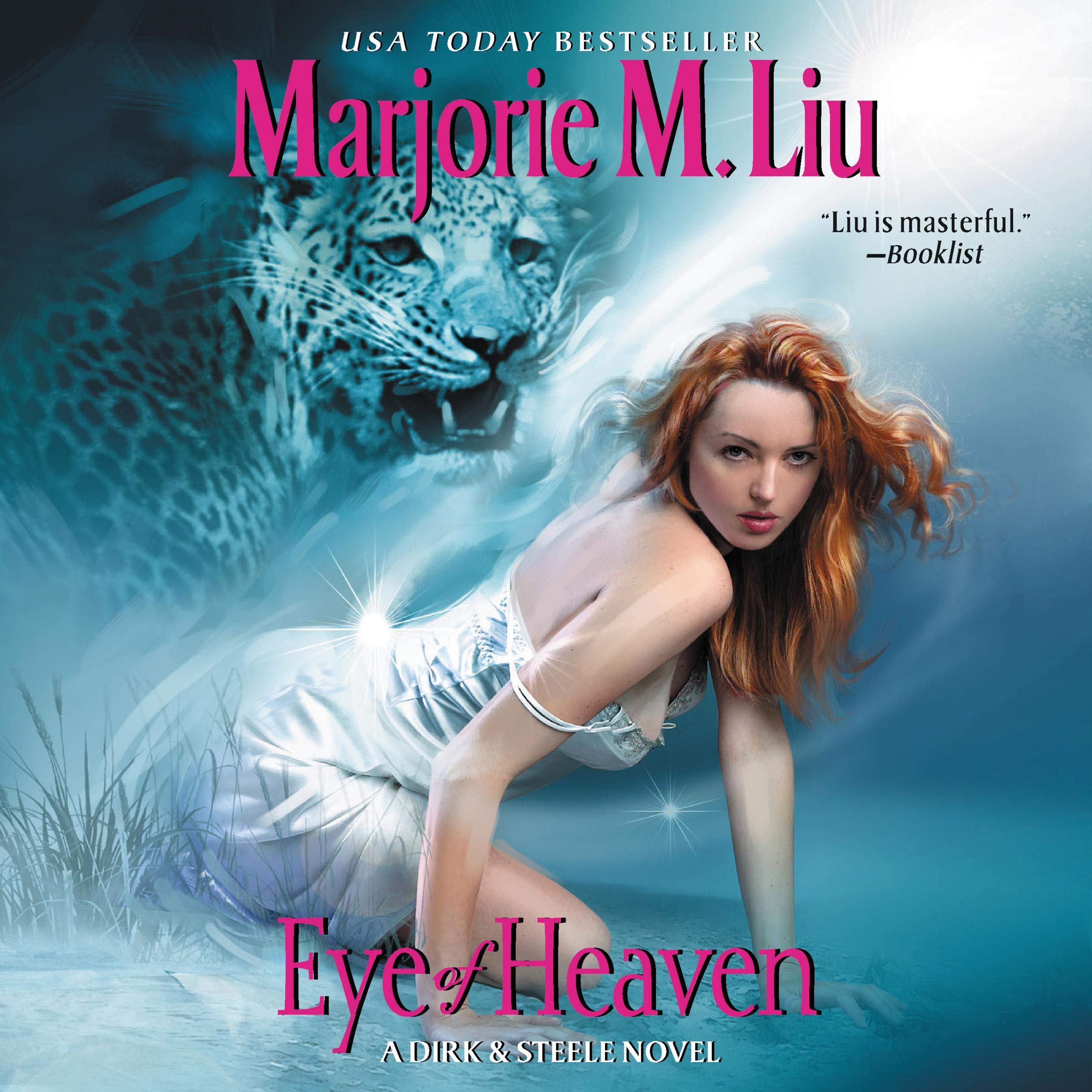 Cover art for Eye of Heaven