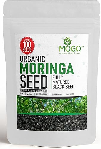 Más de 100 semillas de moringa orgánicas Semillas de moringa para plantar hojas, polvo, vainas y flores Semillas de Moringa sin OMG.