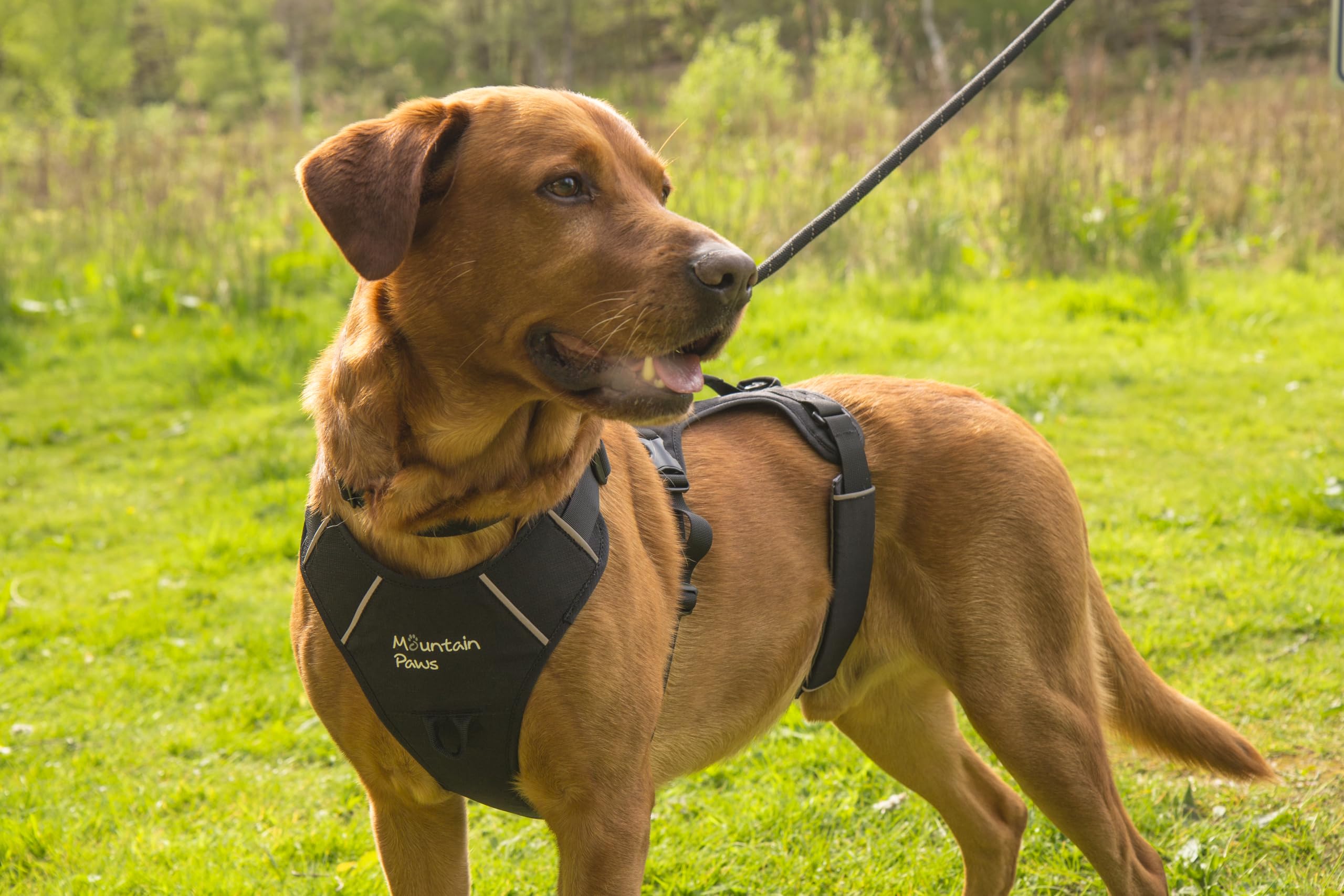 Mountain Paws Arnés de Perro de 3 Correas | para Adaptarse a tamaños de Pecho de 46 a 108 cm, con asa Central y Ribetes Reflectantes