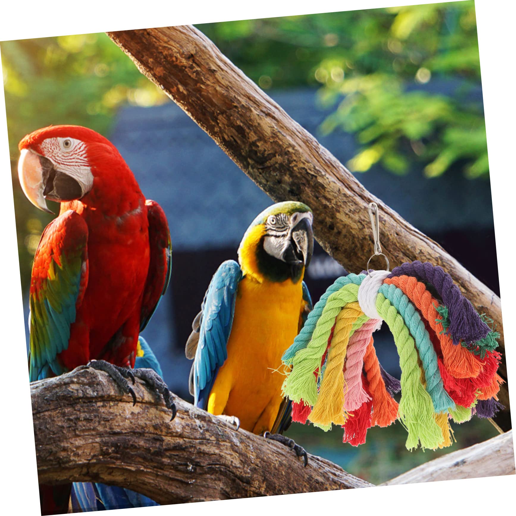 ABOOFAN 5pièces Jouet à Mâcher Coton pour Perroquet Accessoire De Jeu Sécurisé pour Oiseaux Convient Aux Perroquets Cacatoès Et Petits Oiseaux Installation Facile avec Boucle