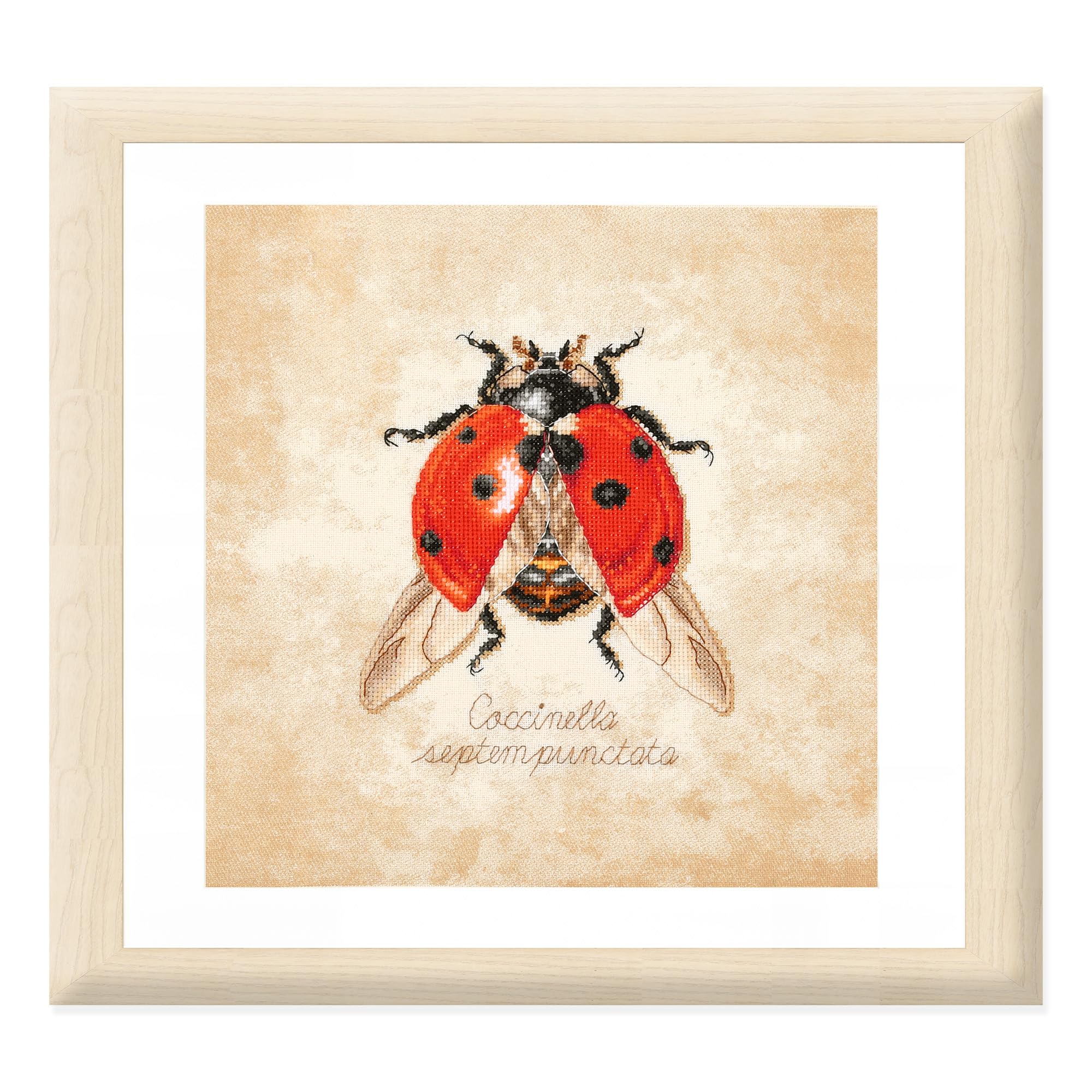 LANARTE Cross Stitch Embroidery Kits Counted Cross Stitch Pictures Set COCCINELLA SEPTEMPUNCTATA Wall Decoration Handmade Set for Adults 21 x 21 cm DIY Decoration Craft Set Craftsman Creative Gift Set
