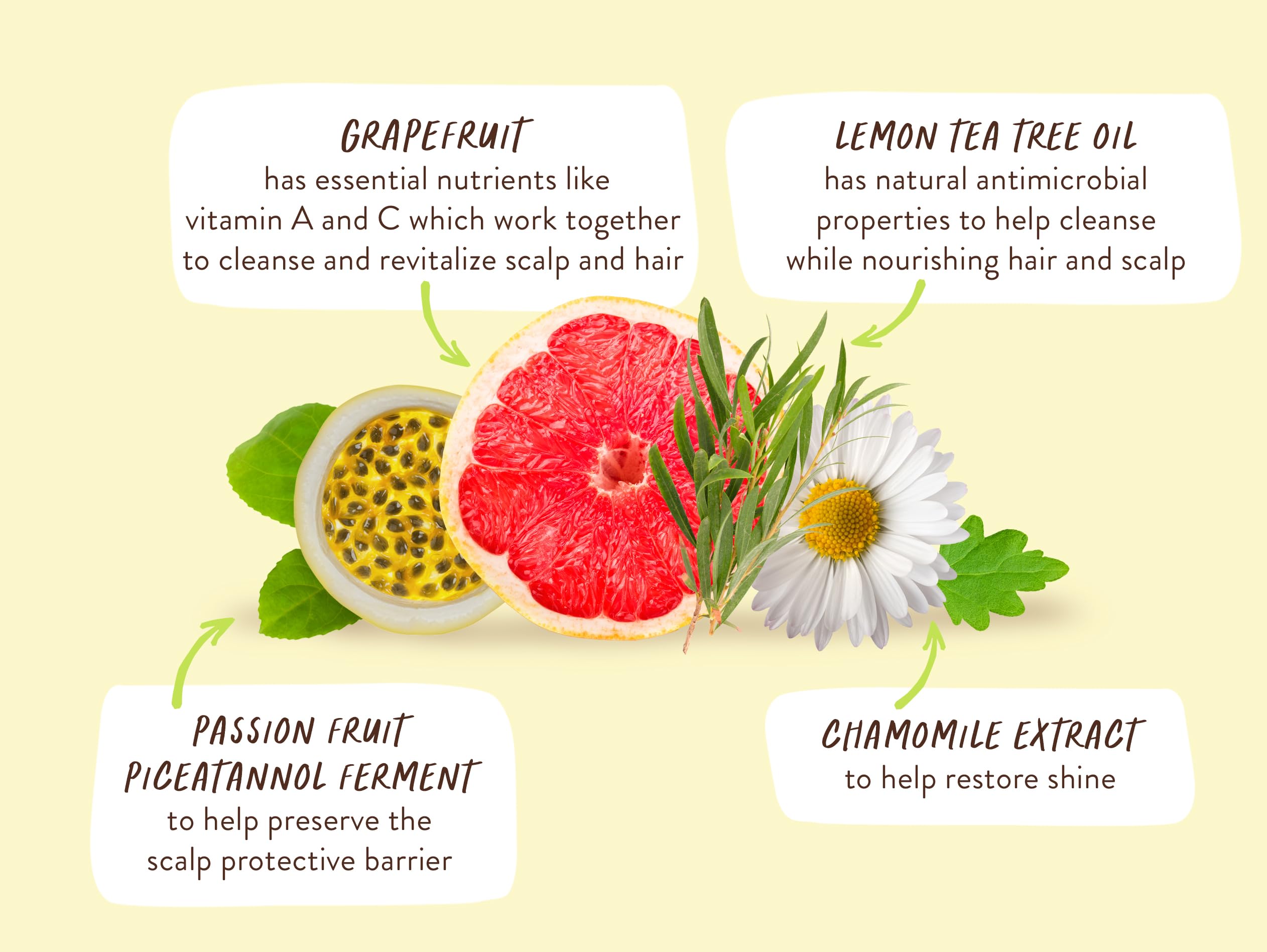 Babo Botanicals Purifying Lemon Tea Tree & Grapefruit Conditioner – For Flat, Oily Prone Hair – Add body & shine – Citrus-Mint Fragrance - Water-Resistant Carton w. 80% Less Plastic – Vegan