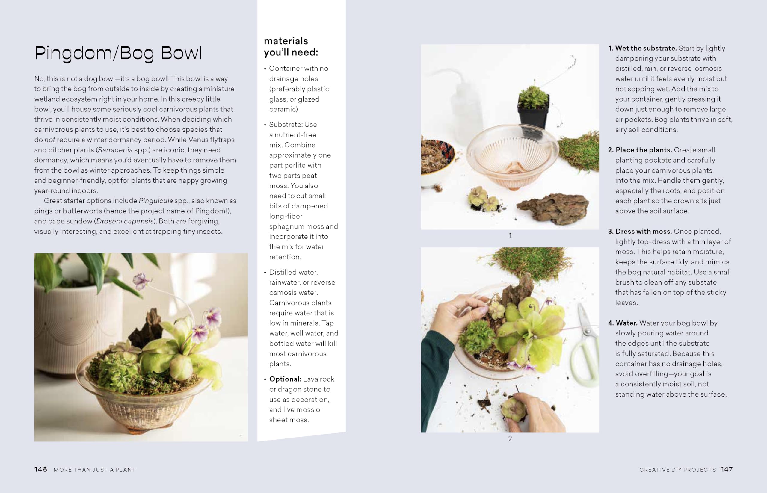 More Than Just a Plant: How to Care for Your Plants as They Care for You