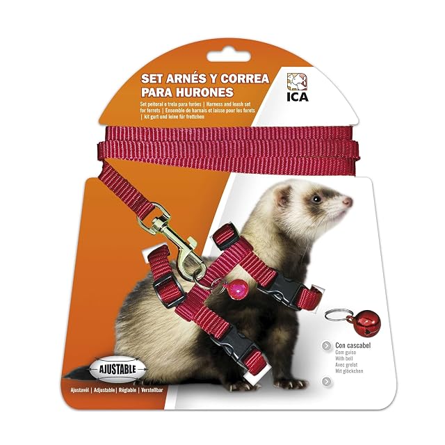 ICA DA970 Set de Arnés y Correa para Hurones, Rojo, Ajustable