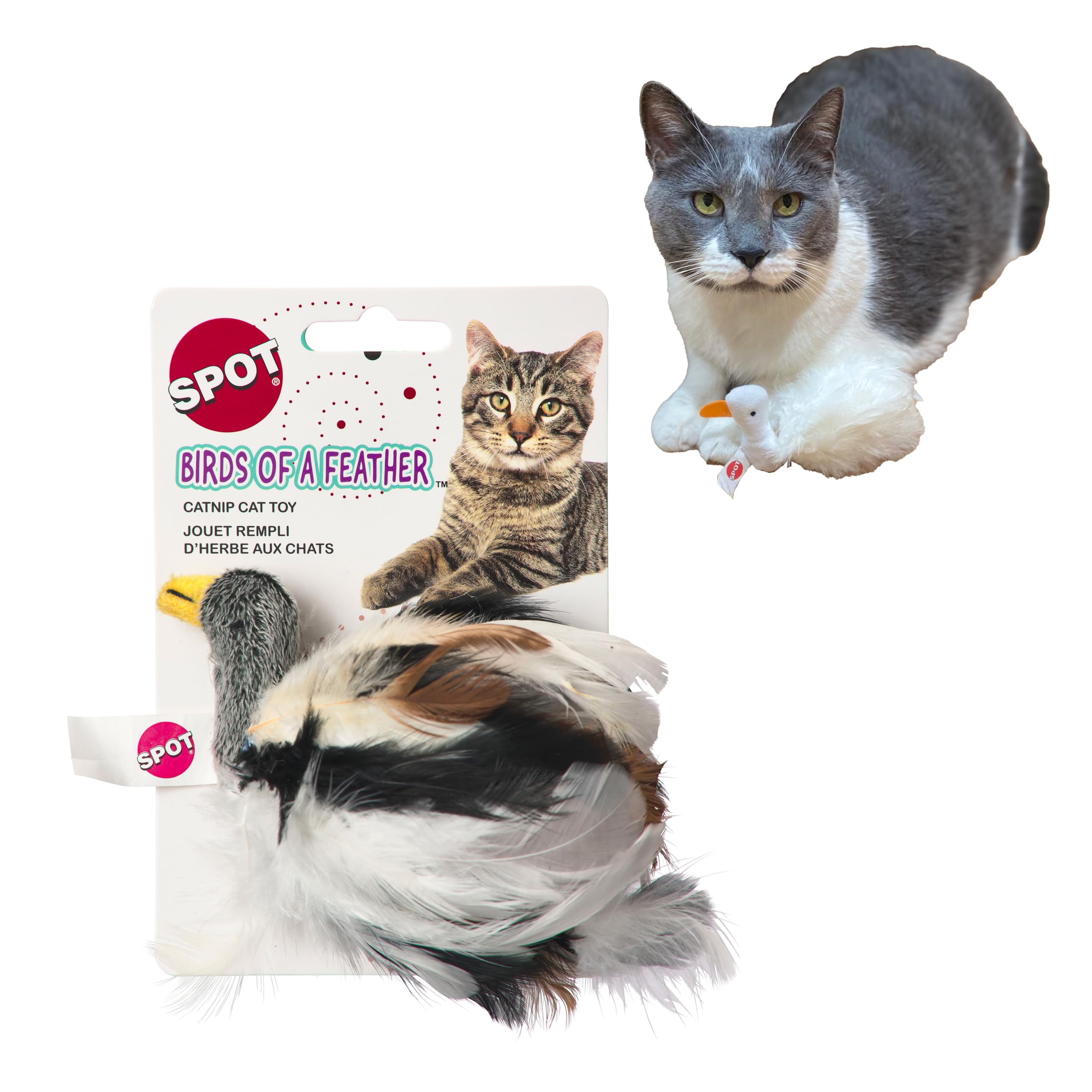 SPOT Birds of a Feather Catnip Toy for Cats – Interactive Plush Toy for Swatting, Pouncing, and Chasing – 6in, Assorted Styles