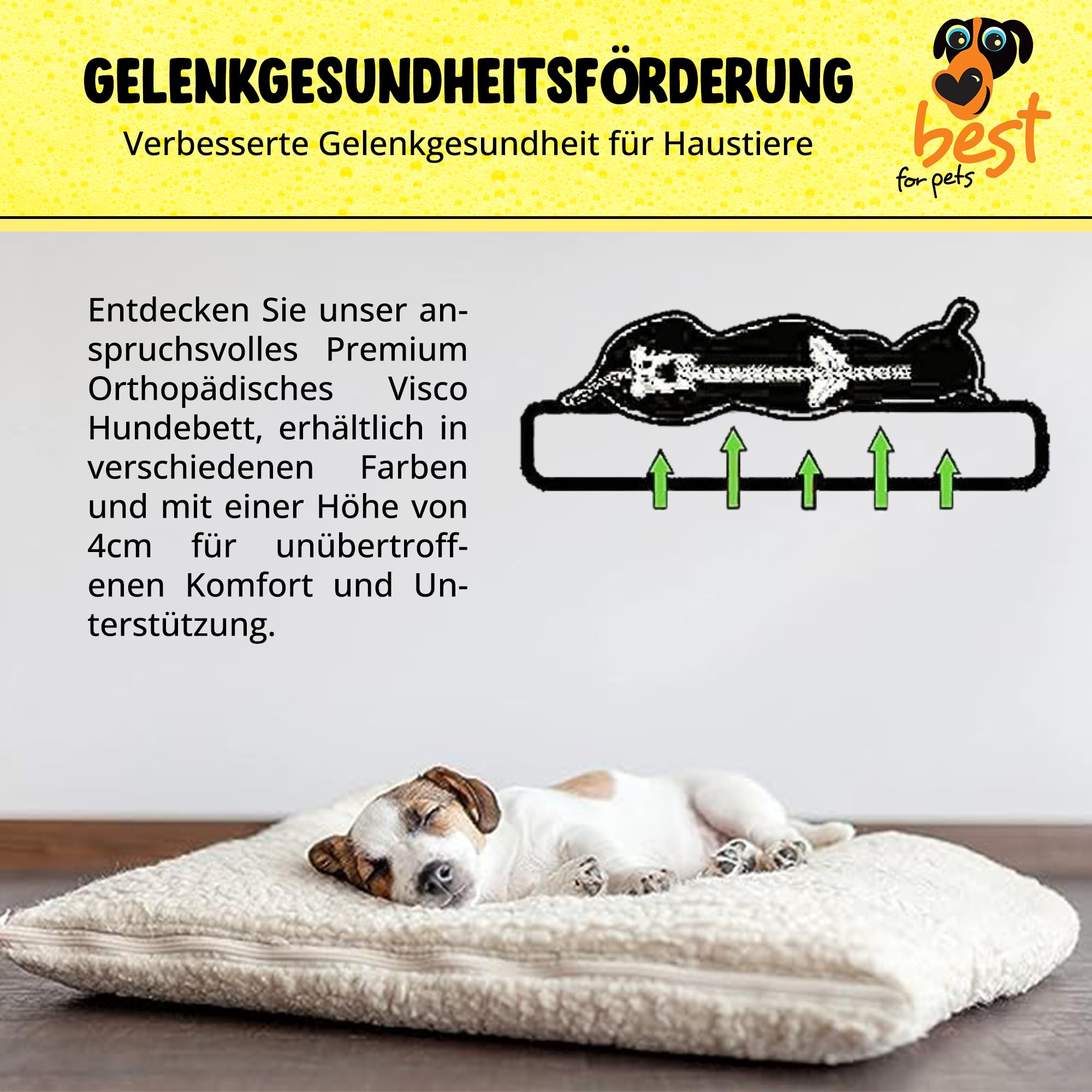 Best for Pets, cuccia ortopedica per cani, lavabile, viscoelastica, cuscino ortopedico per cani, materasso in memory foam, ortopedico, pieghevole (75 x 115 x 4)