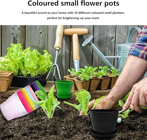 Miniatura 5 de 10 macetas de plástico coloridas, mini macetas con bandejas de goteo, para plantas en miniatura, decoración de jardín, oficina, balcón
