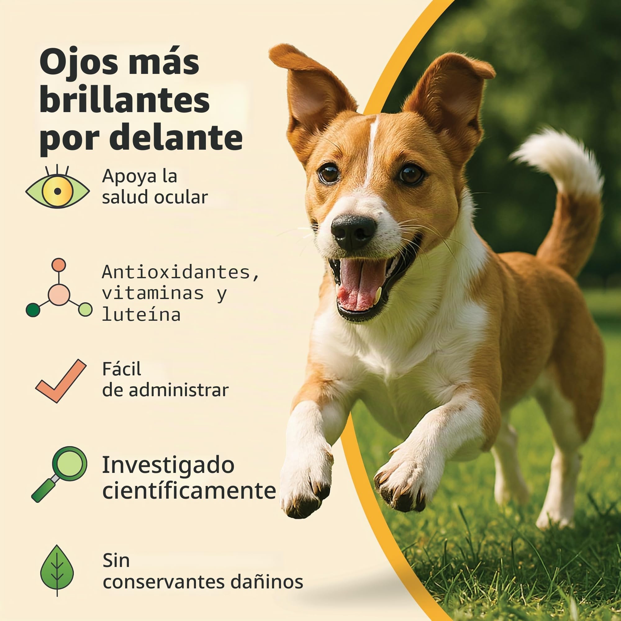 Ocu – Glo RX Canine Vision for Med/Large Dogs over 11 LBS – 90 Count by ocu-glo RX