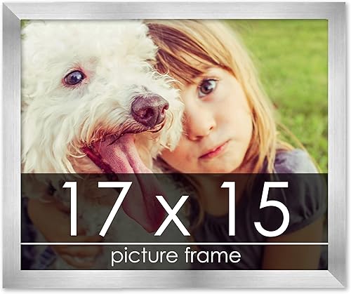 Miniatura 65 de Marco de 28 x 36 pulgadas de madera de peltre plateado con plexiglás acrílico UV, parte trasera de tablero de espuma y accesorios incluidos