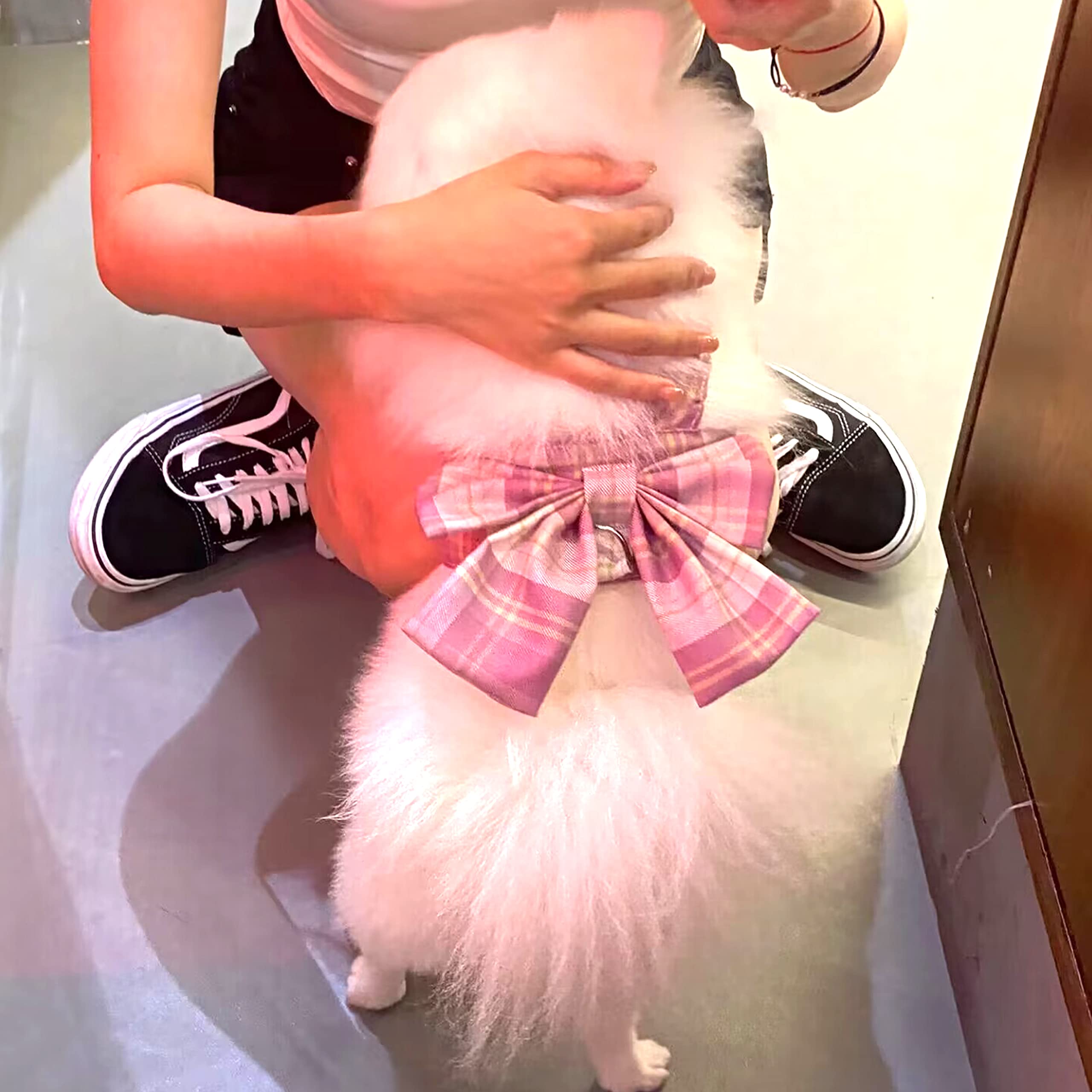 Petbuy Plaid Dog Dress Bow Tie Harness Leash Set,Dog Clothes Harness Dress with Leash Ring for Small Dogs Girl, Puppy Princess Rabbit Clothes