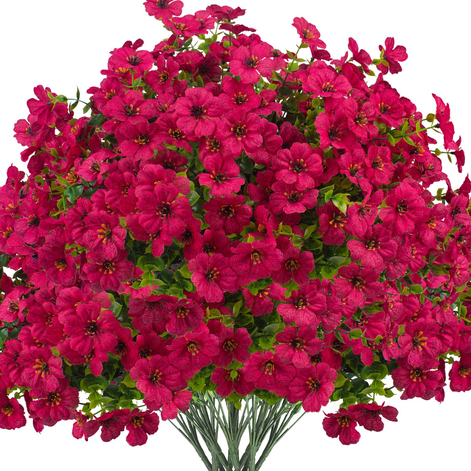 Grunyia Daisy Flowers