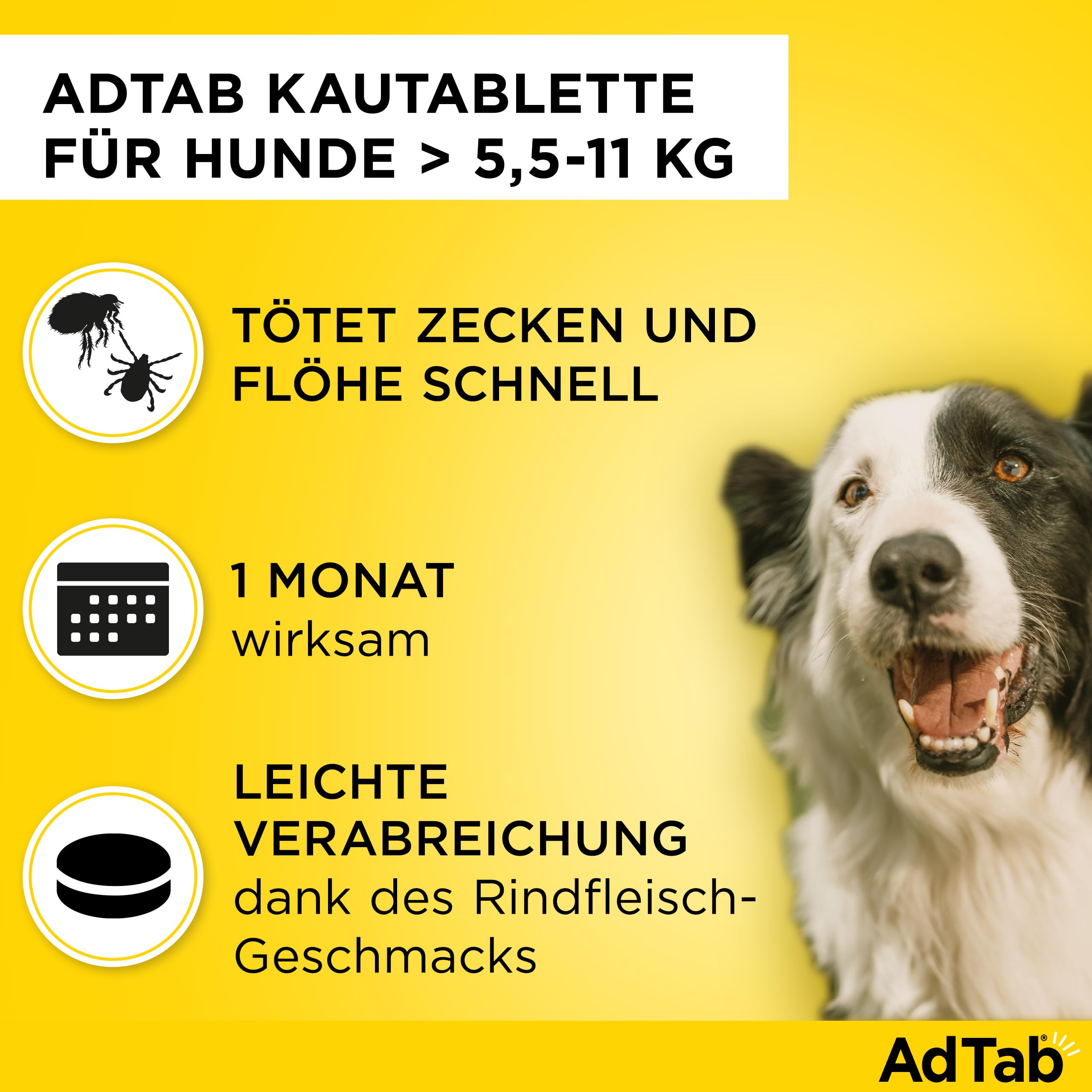AdTab Hund 5,5-11 kg - Kautablette gegen Zecken & Flöhe, Doppelpack(6 St.) | Kleine Kautablette mit Rindfleischgeschmack. 3 Monate Floh- & Zeckenschutz für deinen Hund, schnelle Wirkung & einfache Gabe.