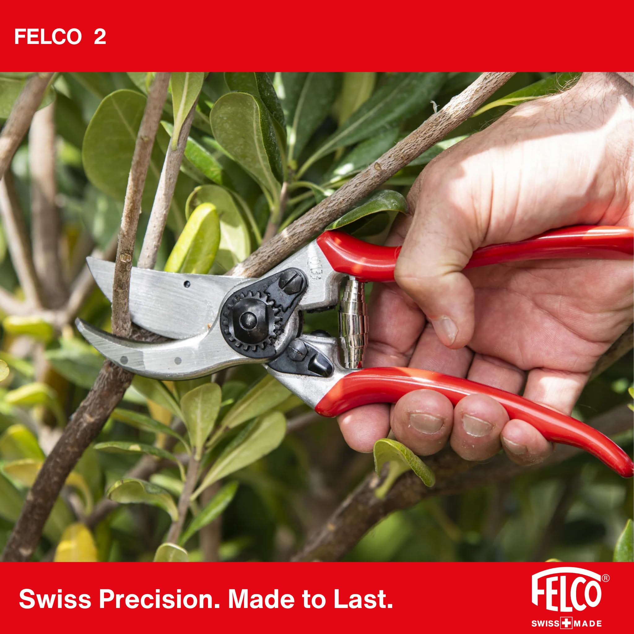 FELCO 2 Profi-Gartenschere Bypass 25 mm für Rechtshänder mit FELCO 600 Klappsäge Astsäge - Schweizer Premium Gartenwerkzeug Set für Baumschnitt, Obst- und Weinbau