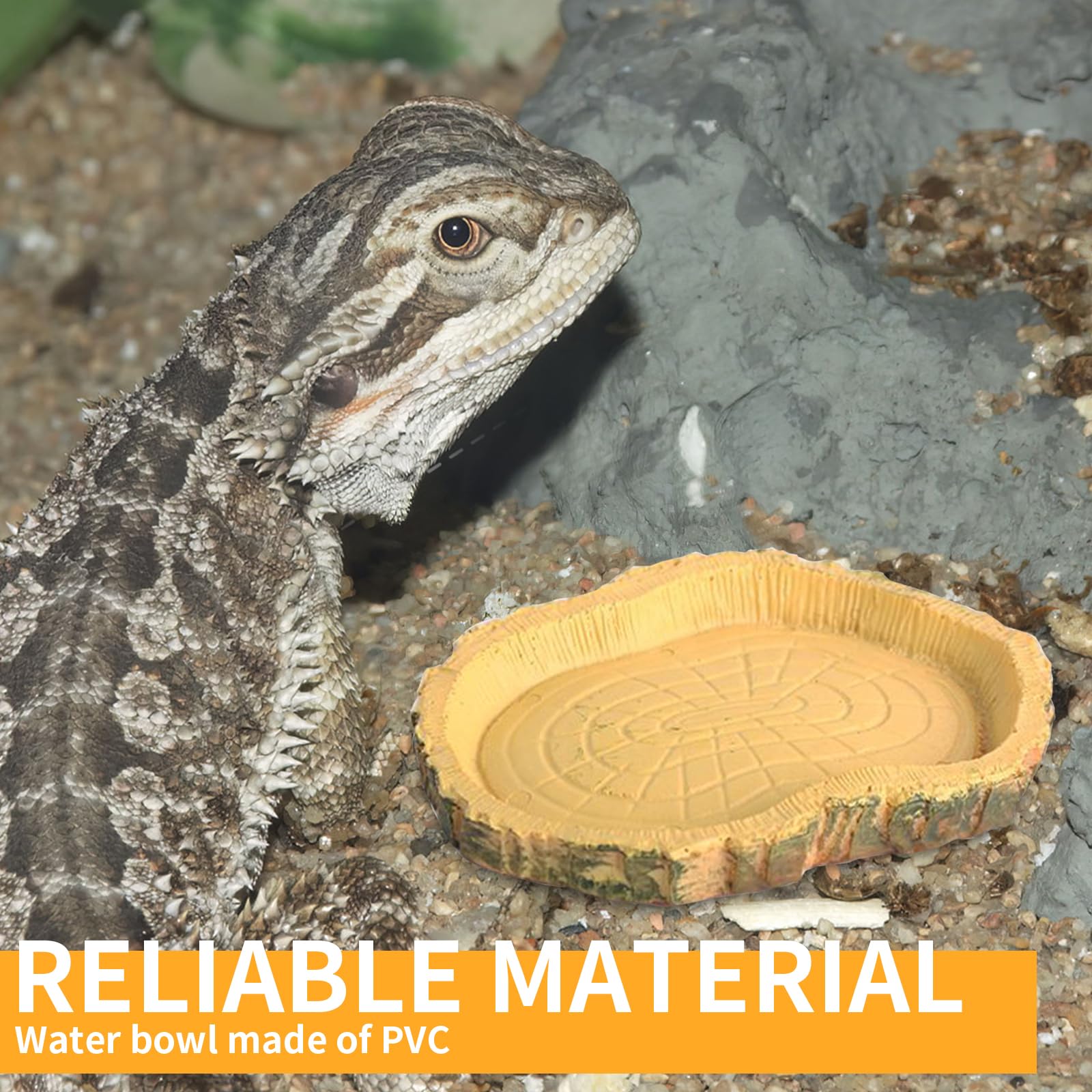 Lithyc 2 pièces Bols à Eau pour Reptiles - Abreuvoir Tortue Terrestre- Nourriture pour Bol pour Reptiles en Feuilles - Convient Aux Reptiles Et Amphibiens, LéZards, Grenouilles, Geckos, Tortues, Etc