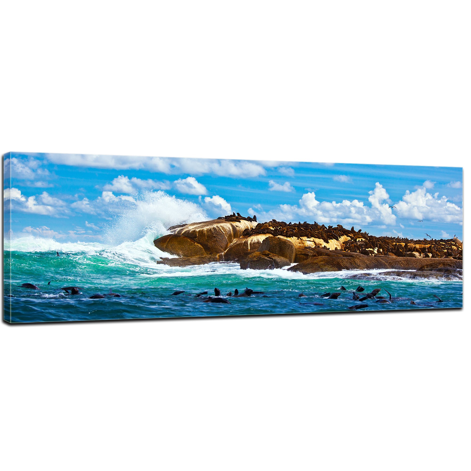 Impression d'art Afrique du Sud paysage marin - Toile photo panoramique 120x40 cm avec phoques