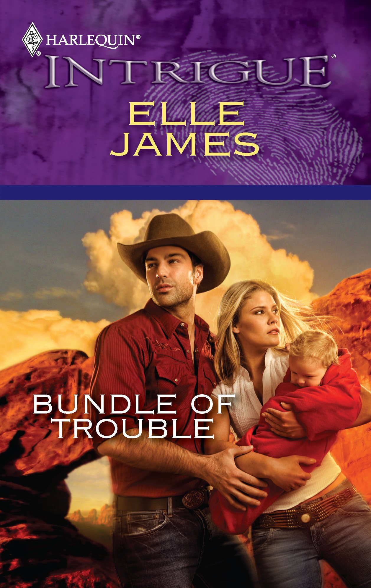 Buy Bundle of Trouble (Harlequin Intrigue) — BookShops.in
