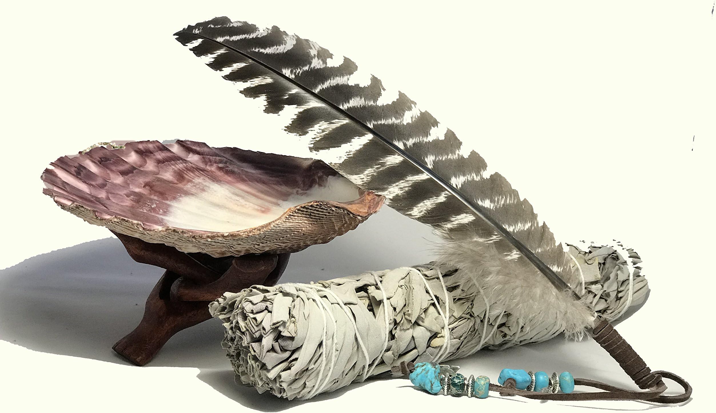 Krubriel LLC Large Beautiful Premium Lion Paw Shell, Wood Cobra Tripod Stand, Large White Sage Smudge Stick and a Hand Decorated Feather. Home Blessing and Cleansing Ritual Instructions Included.