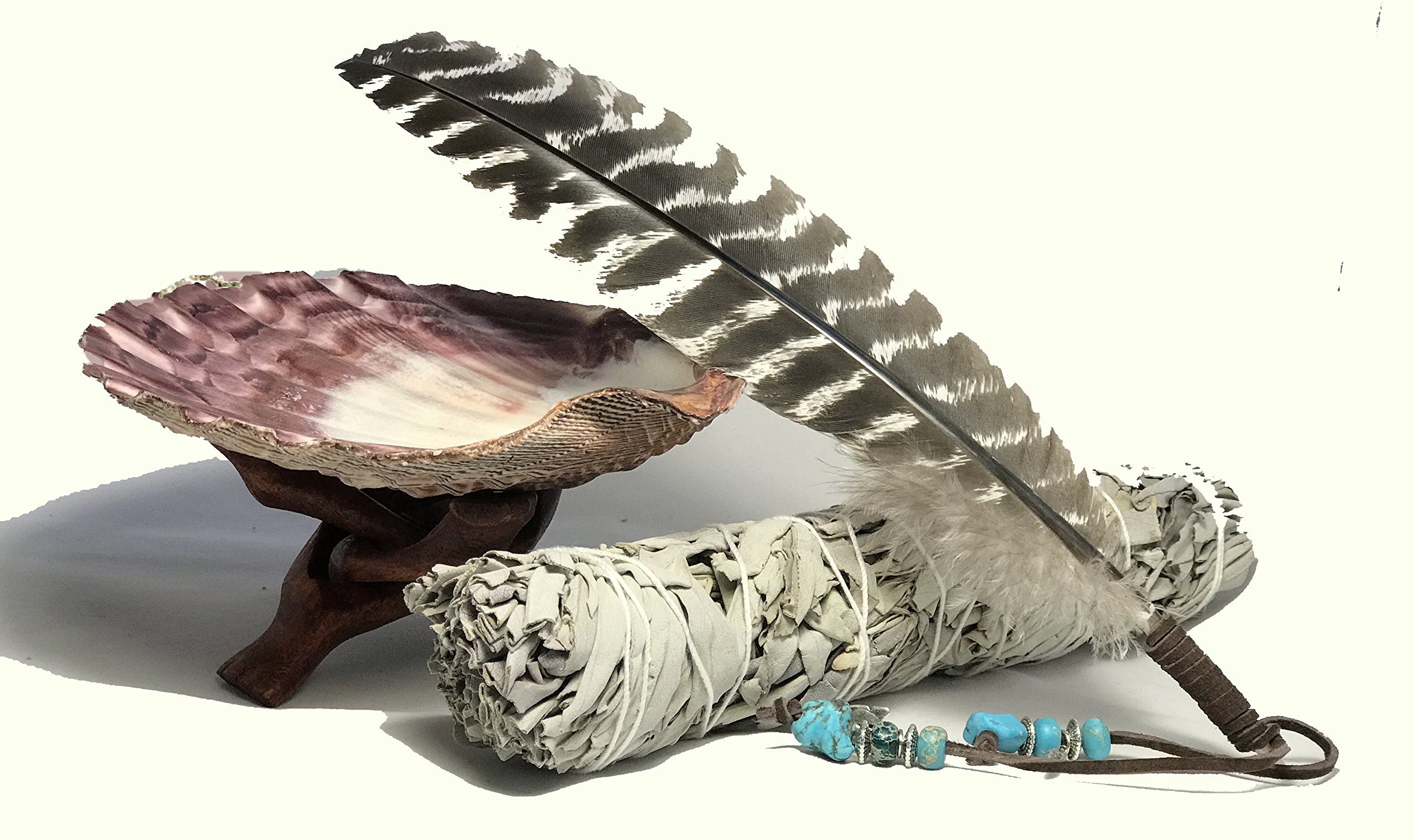 Krubriel LLC Large Beautiful Premium Lion Paw Shell, Wood Cobra Tripod Stand, Large White Sage Smudge Stick and a Hand Decorated Feather. Home Blessing and Cleansing Ritual Instructions Included.