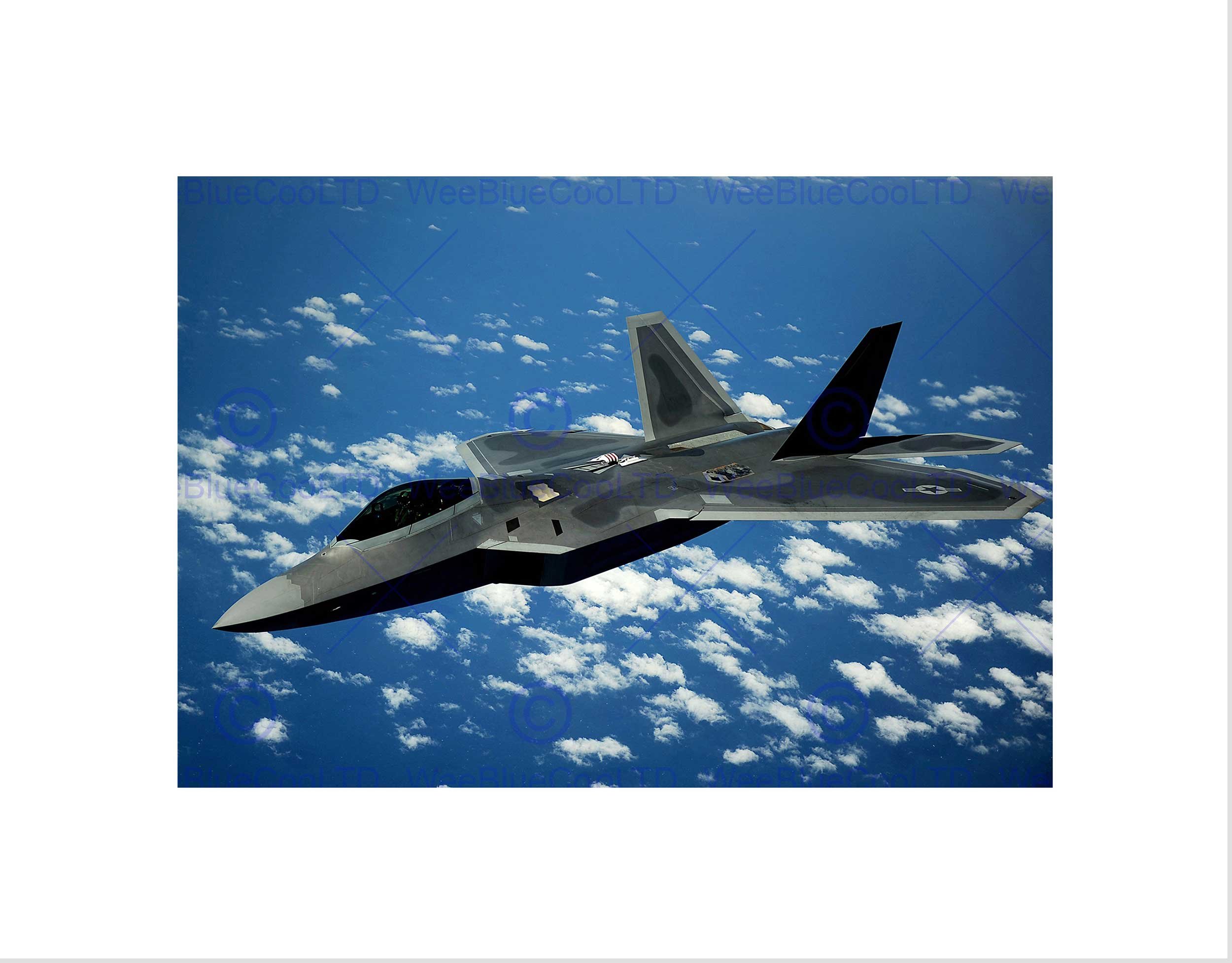 Wee Blue Coo Military Air Plane Fighter Bomber Jet F-22 Raptor Wall Art Print