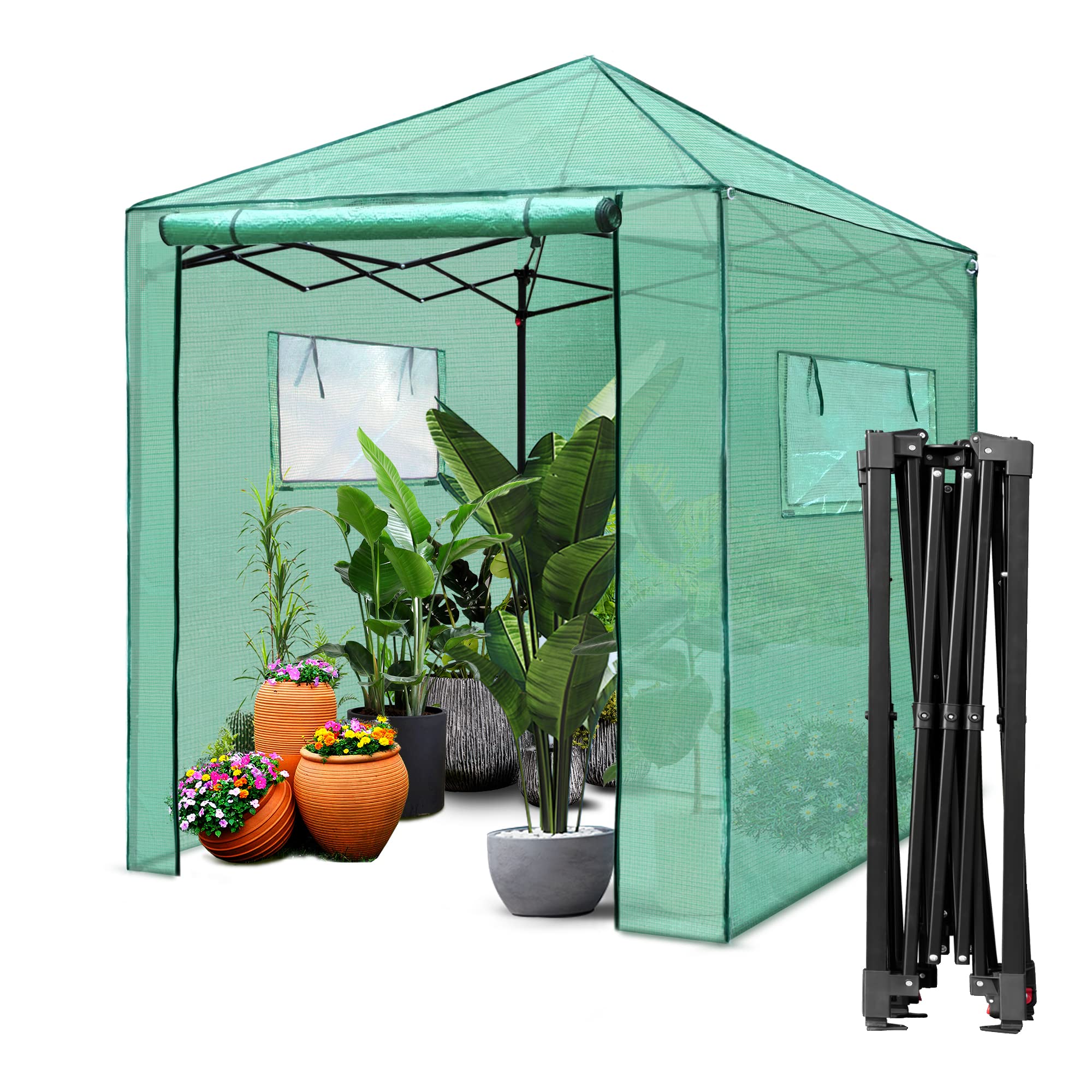 Amazon.com : PexFix 6'x 5' Portable Walk-in Greenhouse, Easy Setup