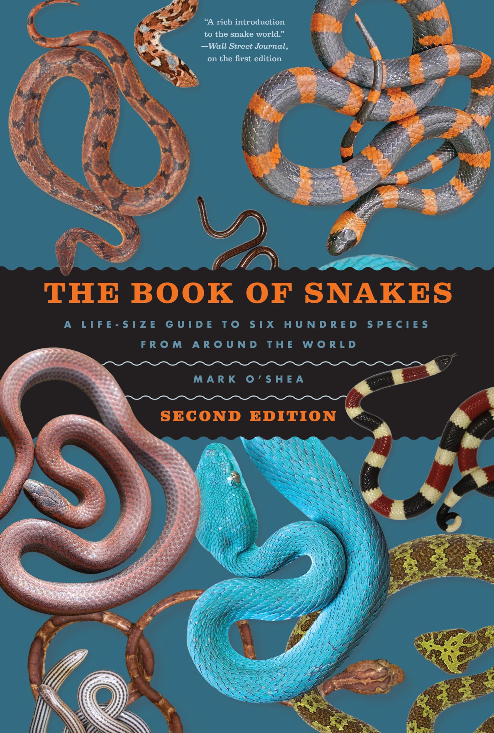 The Book of Snakes: A Life-Size Guide to Six Hundred Species from around the World