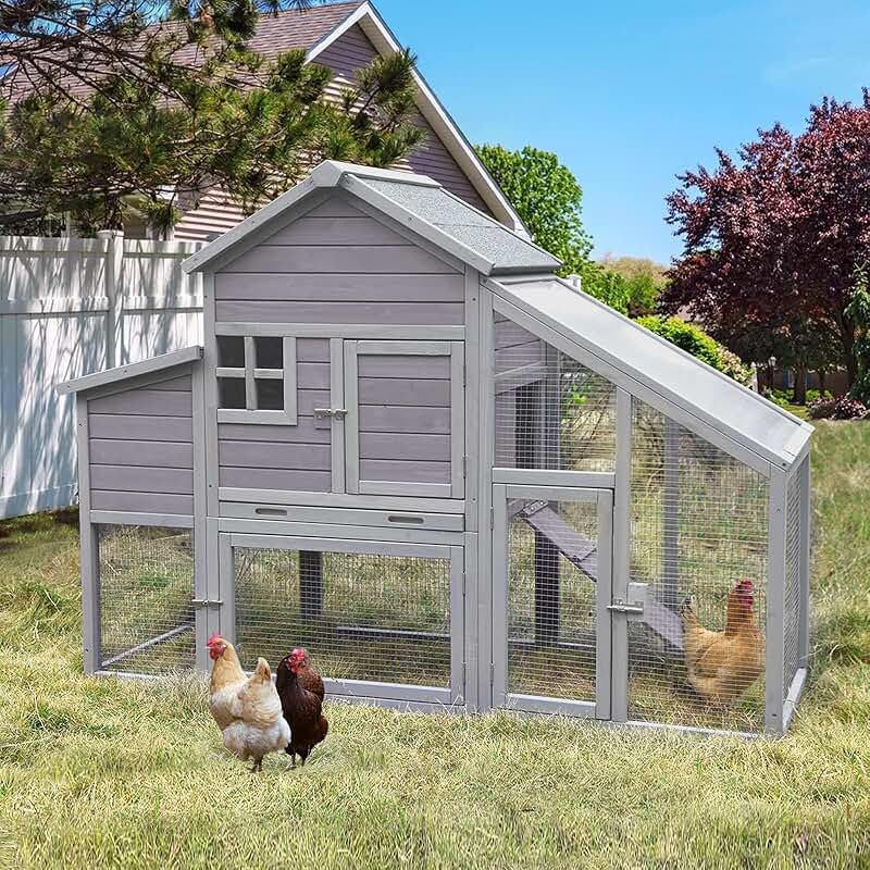 chicken coop