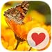 650 Photos
