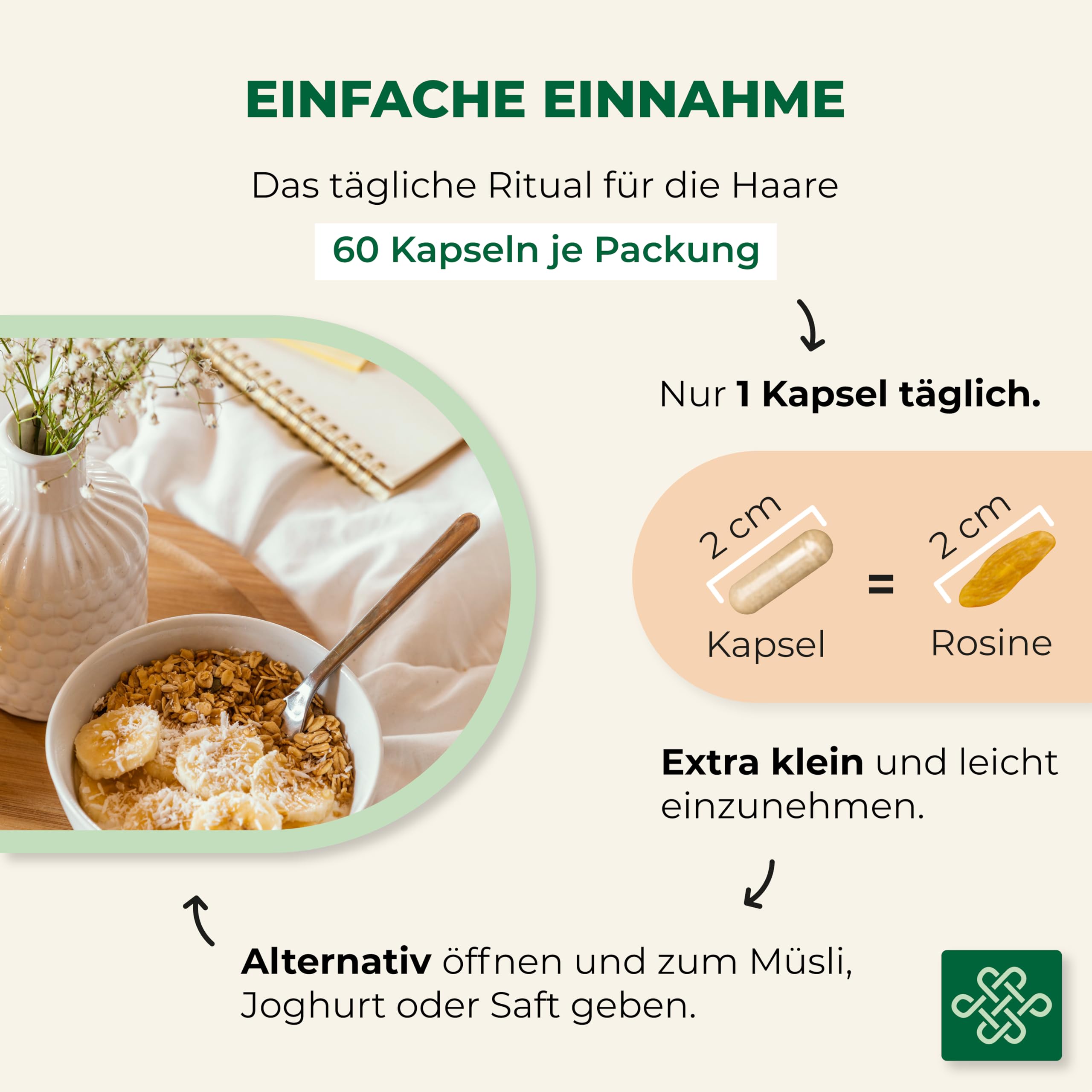 forte Haarvitamine (2 Monatspackung) • Für Frauen und Männer • Zum Erhalt der normalen Haare mit Brennnessel-, Kürbiskern-, Ginkgo Biloba-Extrakt sowie B-Vitaminen, Zink, Niacin, Biotin