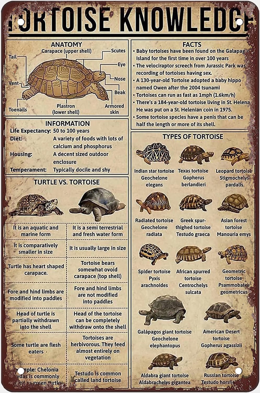 Pibonto Women's Wall Decor Metal Knowledge Signs Tortoise Knowledge Metal Tin Signs Vintage Printing Poster Bar Restaurant Cafe Living Room Kitchen Home Wall Art Decor Plaque Gift For 8X5.5 Inch Plaque Tin Sign
