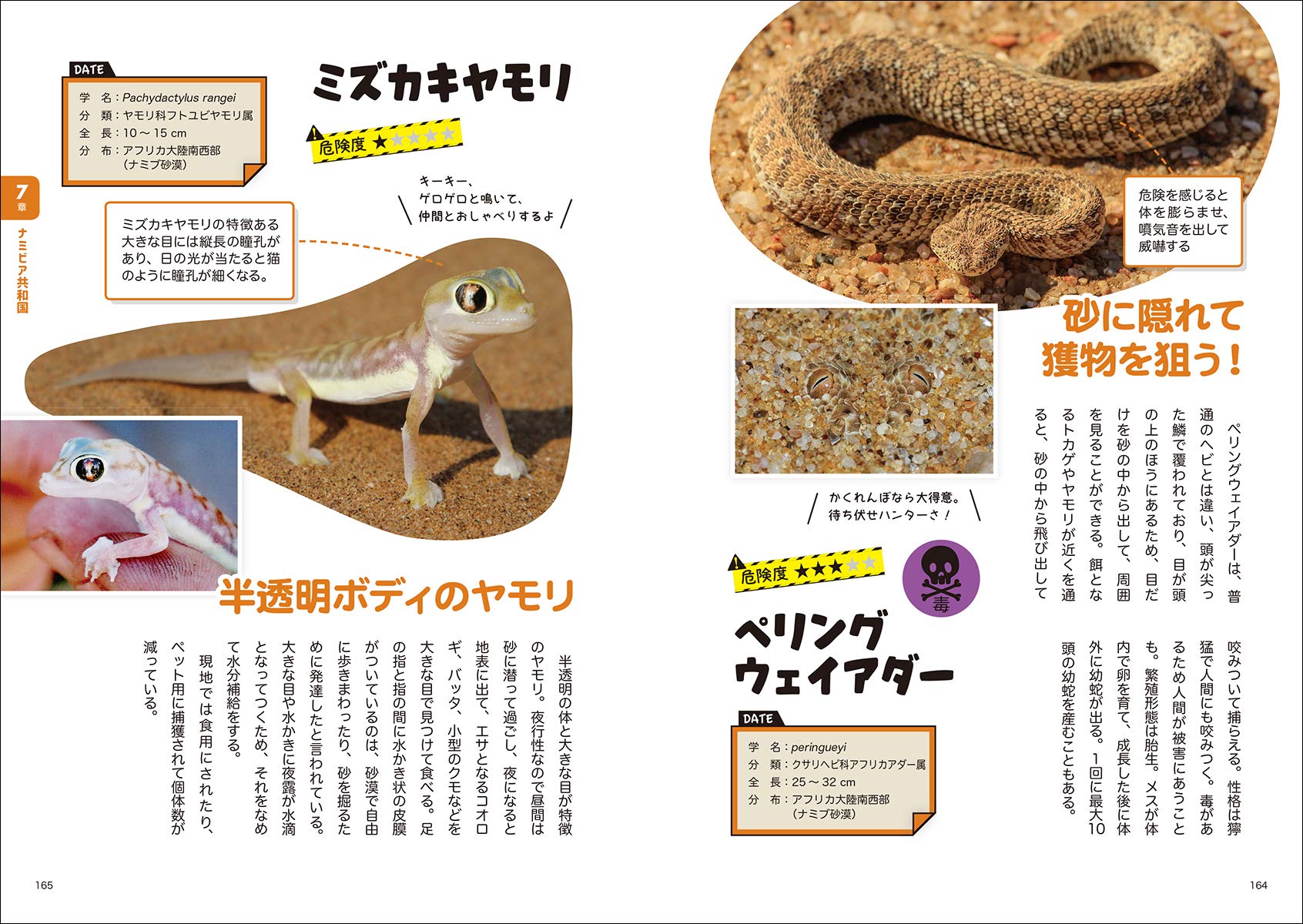 72 以上節約 毎日クーポン有 マンガでわかる 世界のすごい爬虫類 加藤英明の爬虫類ワールドハンティング 加藤英明 蛸山めがね Pdct Kinniyazone Lk