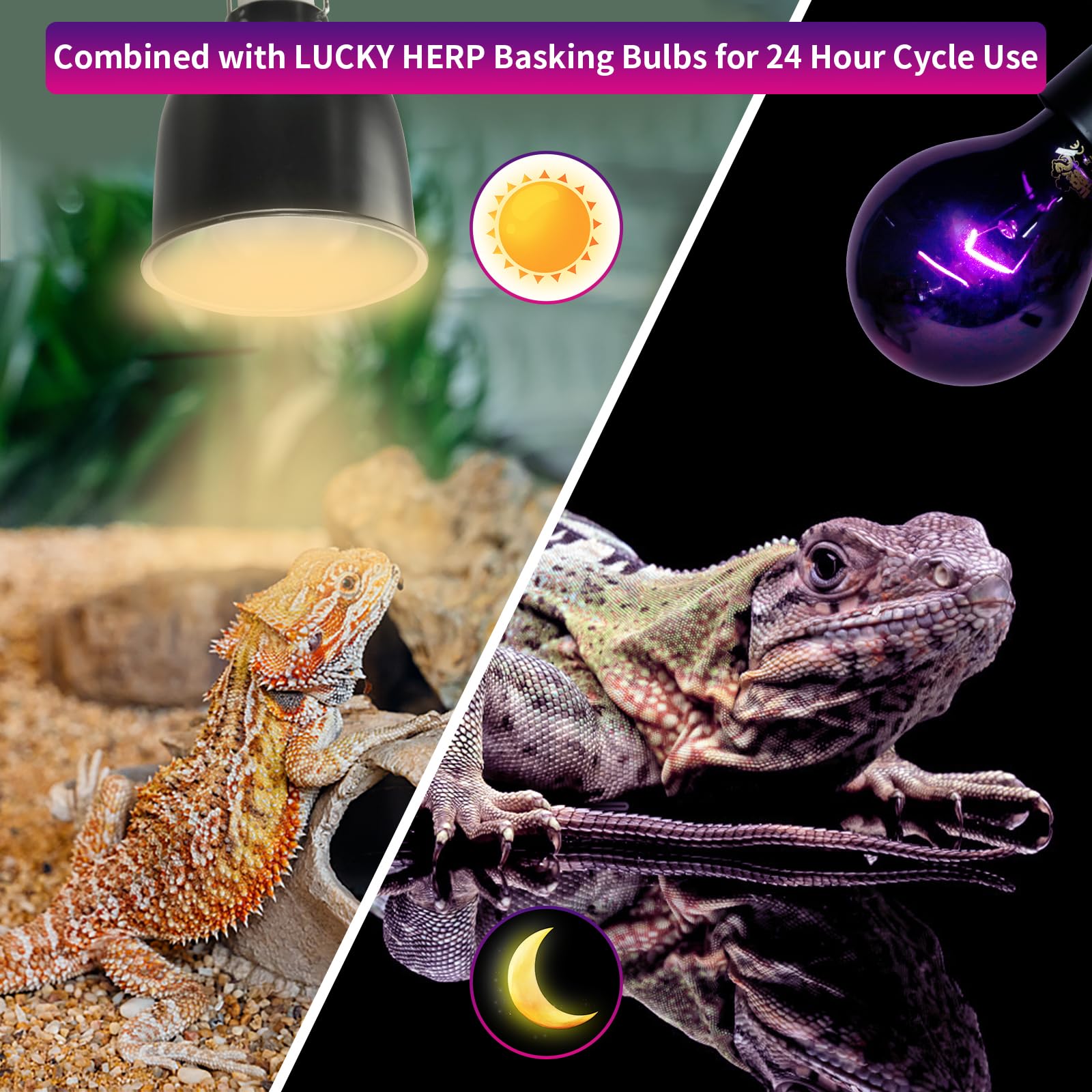 Image showcasing Snapklik.com : Reptile Heat Lamp 50W 2 Pack, Reptile Night Heat Bulb ...