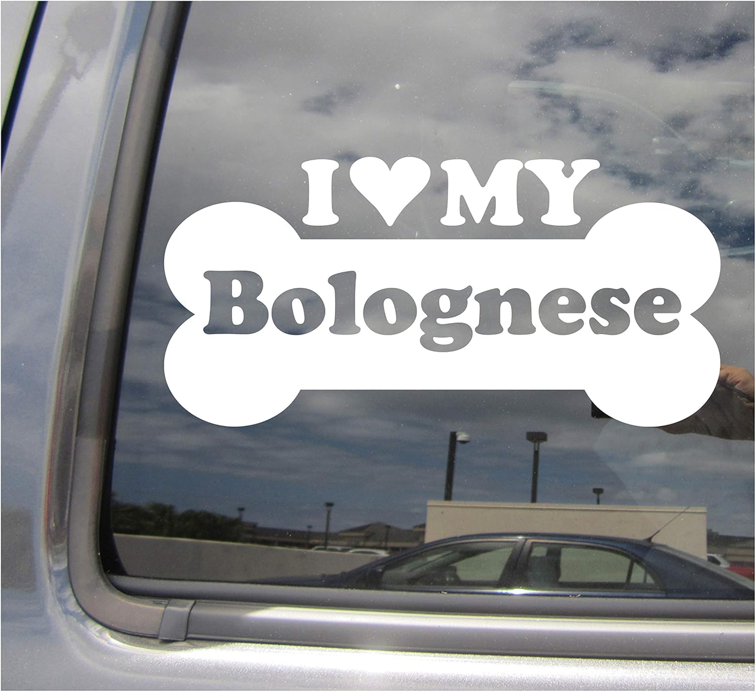 I Heart Love My Bolognese - Dog Bone Bichon Bologneser Botoli Bottolo Purebred Breed Cars Trucks Moped Helmet Hard Hat Auto Automotive Craft Laptop Vinyl Decal Store Window Wall Sticker 13161