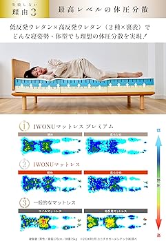 81hNL79WsXL._AC_UF350,