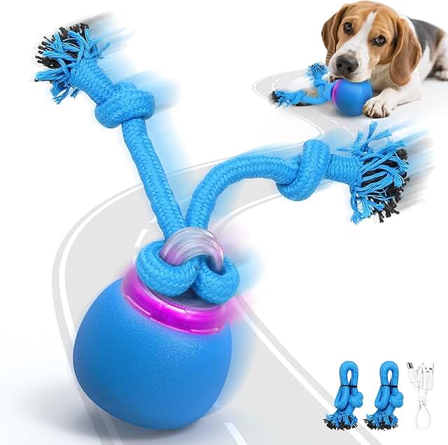 IOKHEIRA Interaktive Hundefreizeitprodukte - Ladebare elektrische Hunde-Bälle mit Berührungsweckfunktion und Gelächter, perfekt für den Innen- und Außenspielspaß von Kleinrassen-Hunden product image