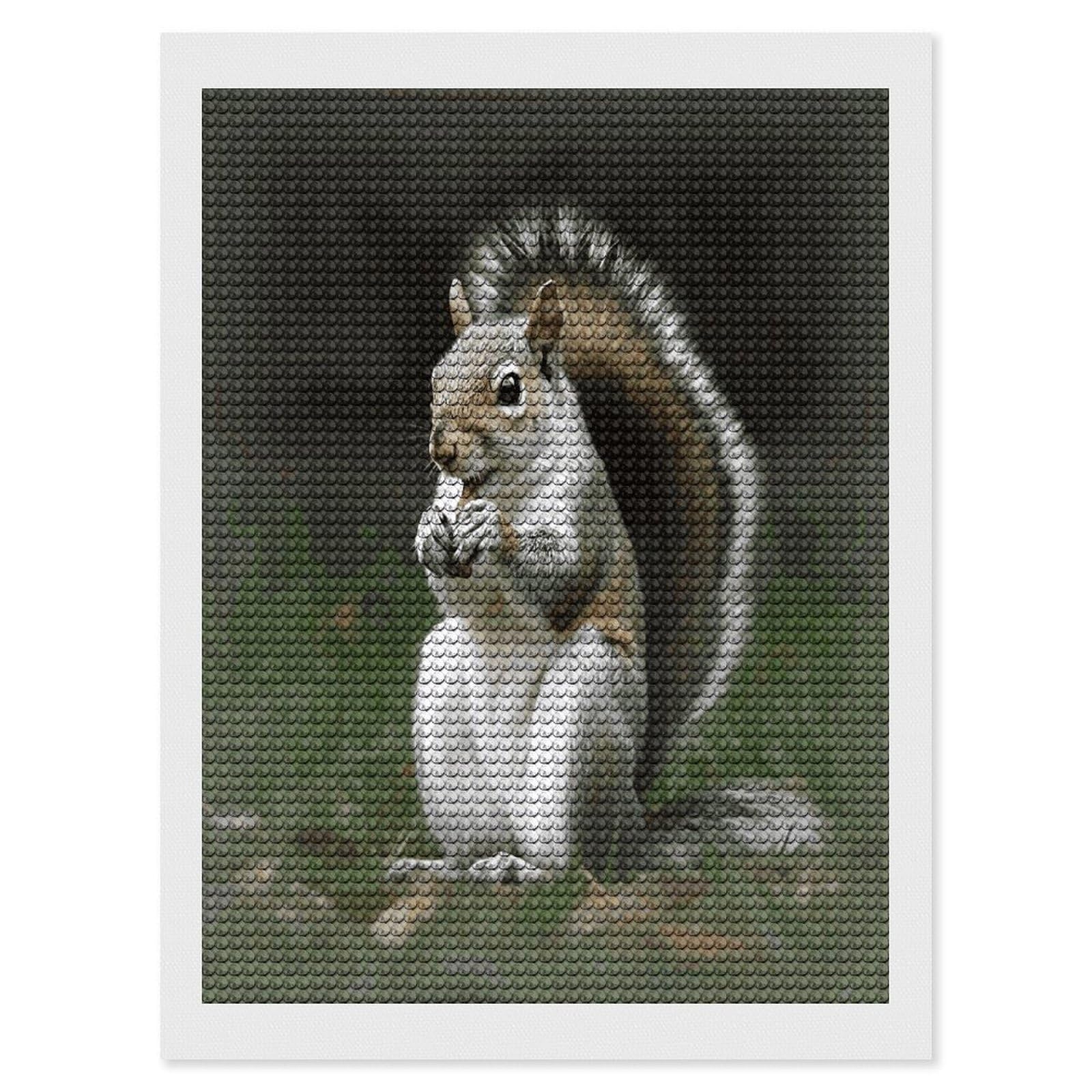 FekiLoot Squirrel Diamond Painting Kits for Beginners DIY Diamond Art Kits for Adults Full Drill Round Diamond Dot Gem Art Painting Fun DIY Crafts for Home Kitchen Wall Decor Gift 12"x16"
