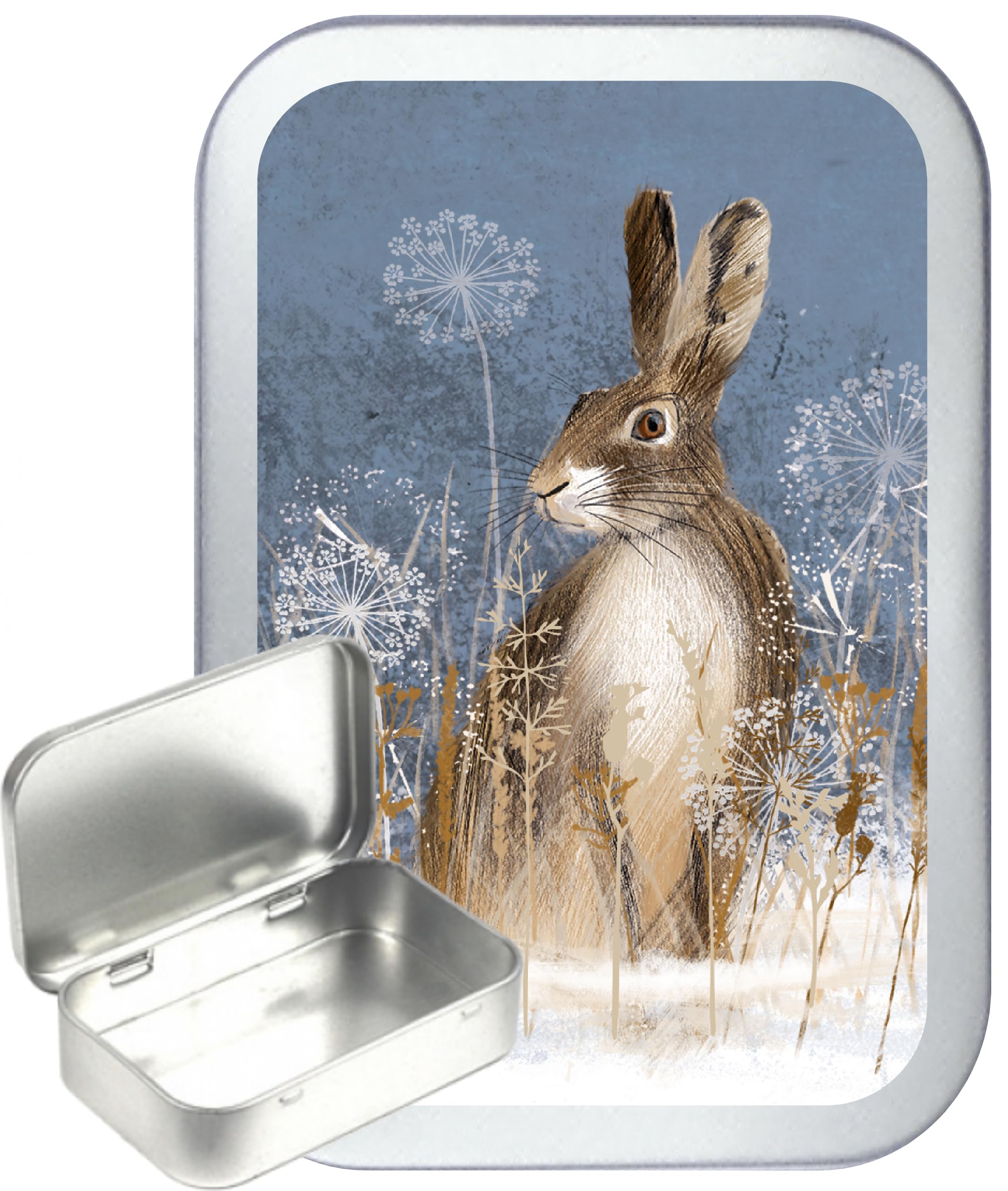Generic Silver Hinged Storage Box, 50ml, Small Rectangular Tin, 1oz Tobacco Herb Container, Gift Box