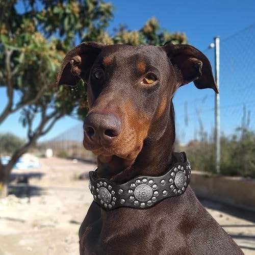 Miniatura 7 de PET ARTIST Collar de perro de cuero genuino, diseño único y cuero resistente, collar de perro resistente, apto para perros Rottweiler Pitbull