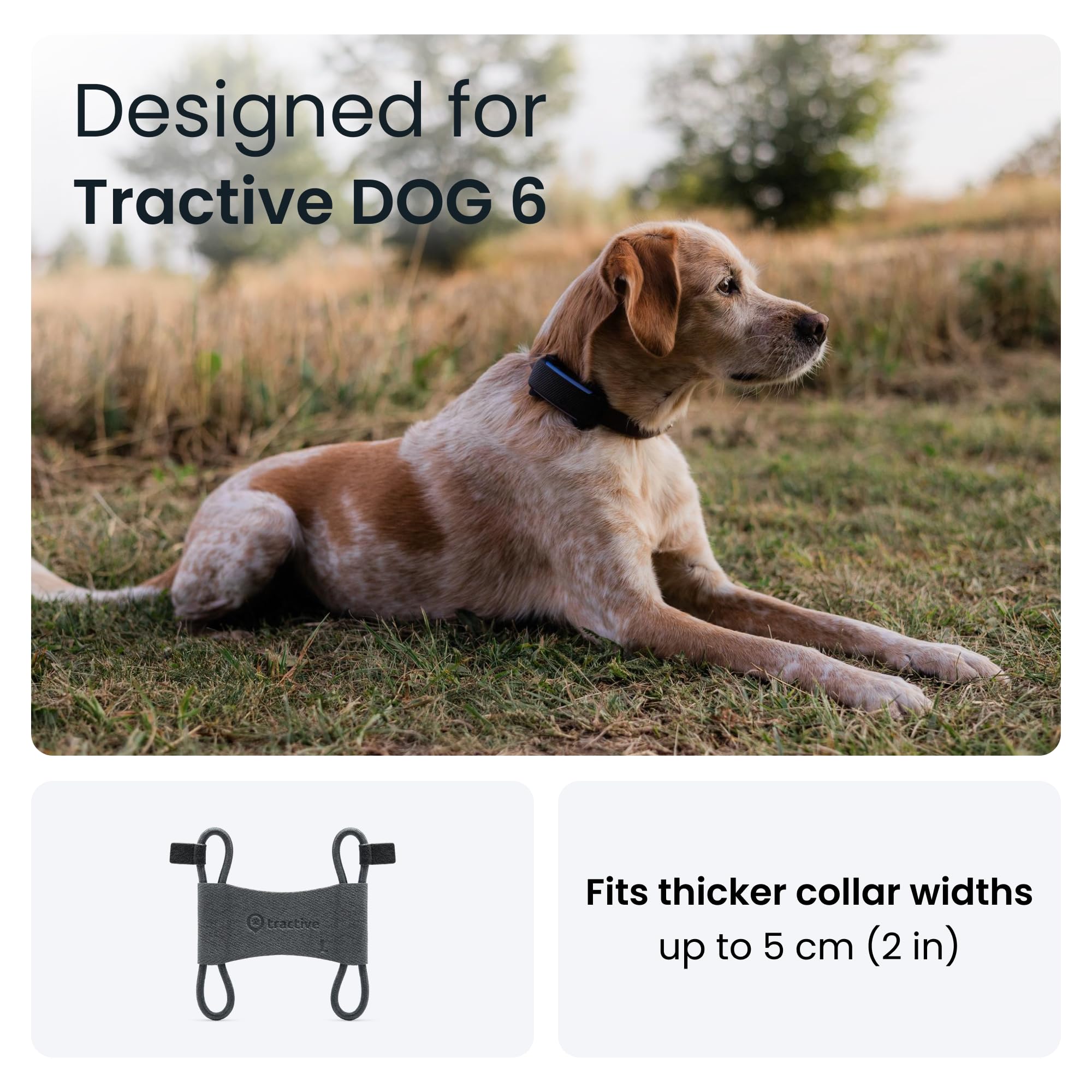 Amazon.com: Tractive: Accessories