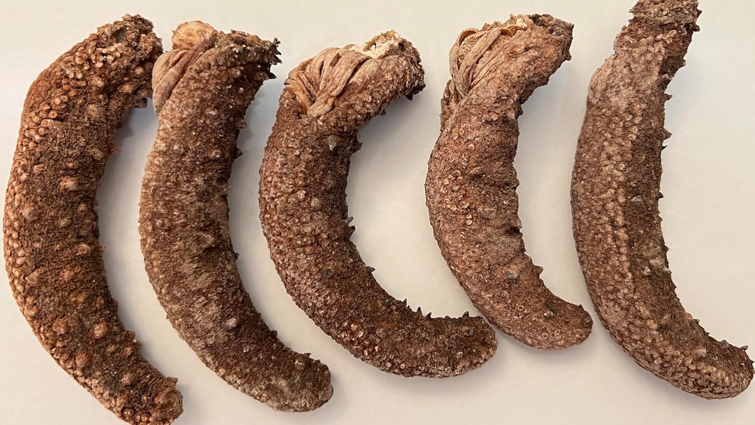 GOLDENSEA-Natural Sun Dried Alaska Red Sea Cucumber 金海堂-野生淡干海参, 阿拉斯加野生红刺参(Medium Size)1lb, Grade AAAA