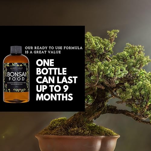 Miniatura 4 de Hoja exuberante  Bonsai