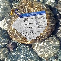 Vista 6 de Manual de nudos de pesca impermeables: 12 nudos fáciles Guía paso a paso y mini mosquetón Ideal para principiantes