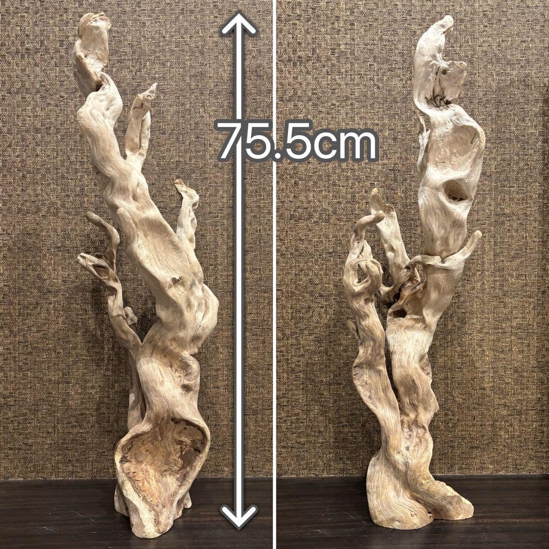 流木　大型75.5cm 超インテリア 流木 大型75.5cm 超インテリア 流木 大型75.5cm 超インテリア 流木