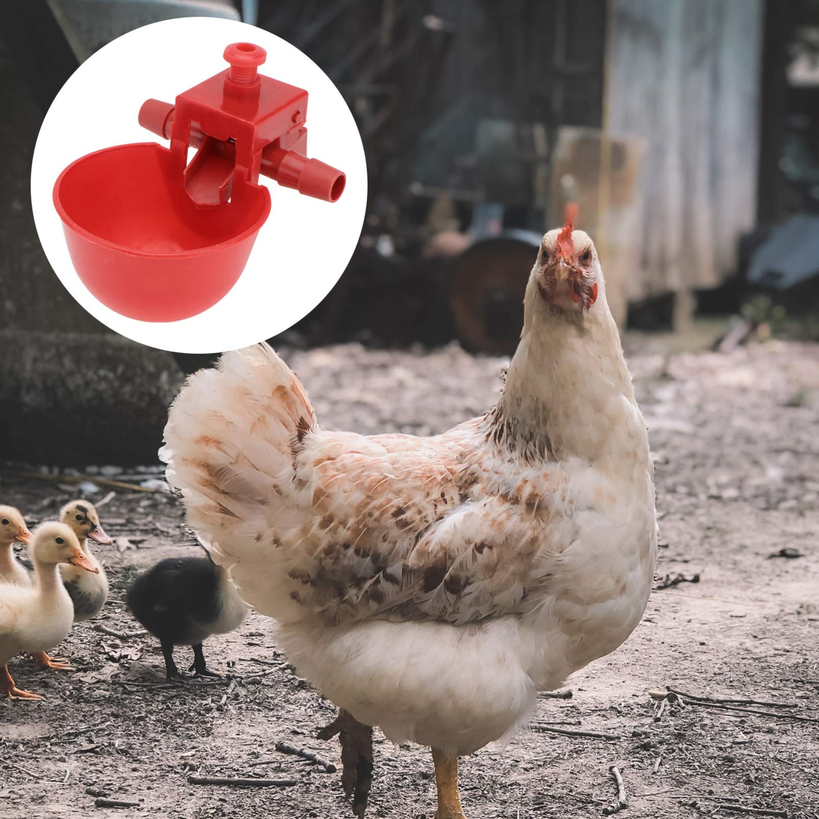 DOITOOL Abbeveratoio per Galline Automatico, 15 Pezzi Kit Abbeveratoio Galline in Plastica per Polli, Piccioni, Quaglie e Anatra, Tazze Automatico per Pollame e Avicoli