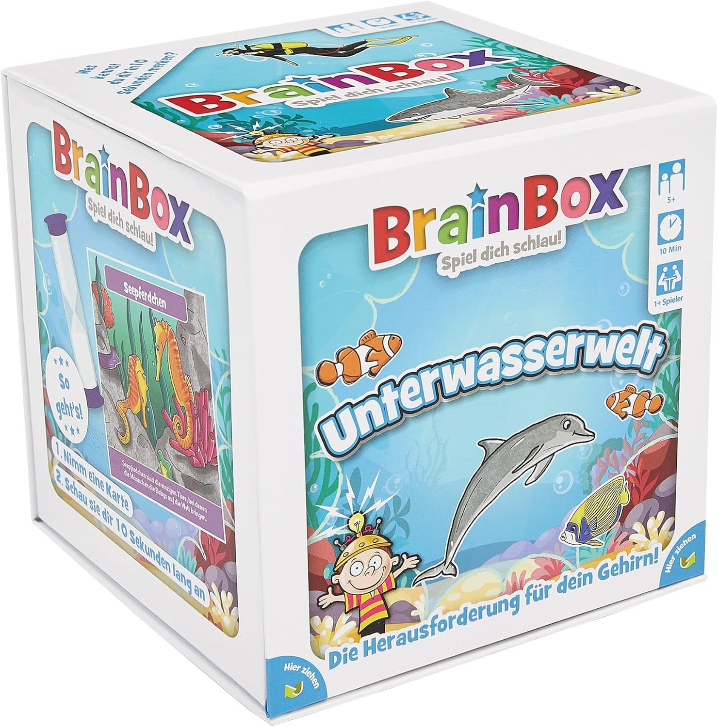 Brain Box 94924 Educational Game Multi-Coloured