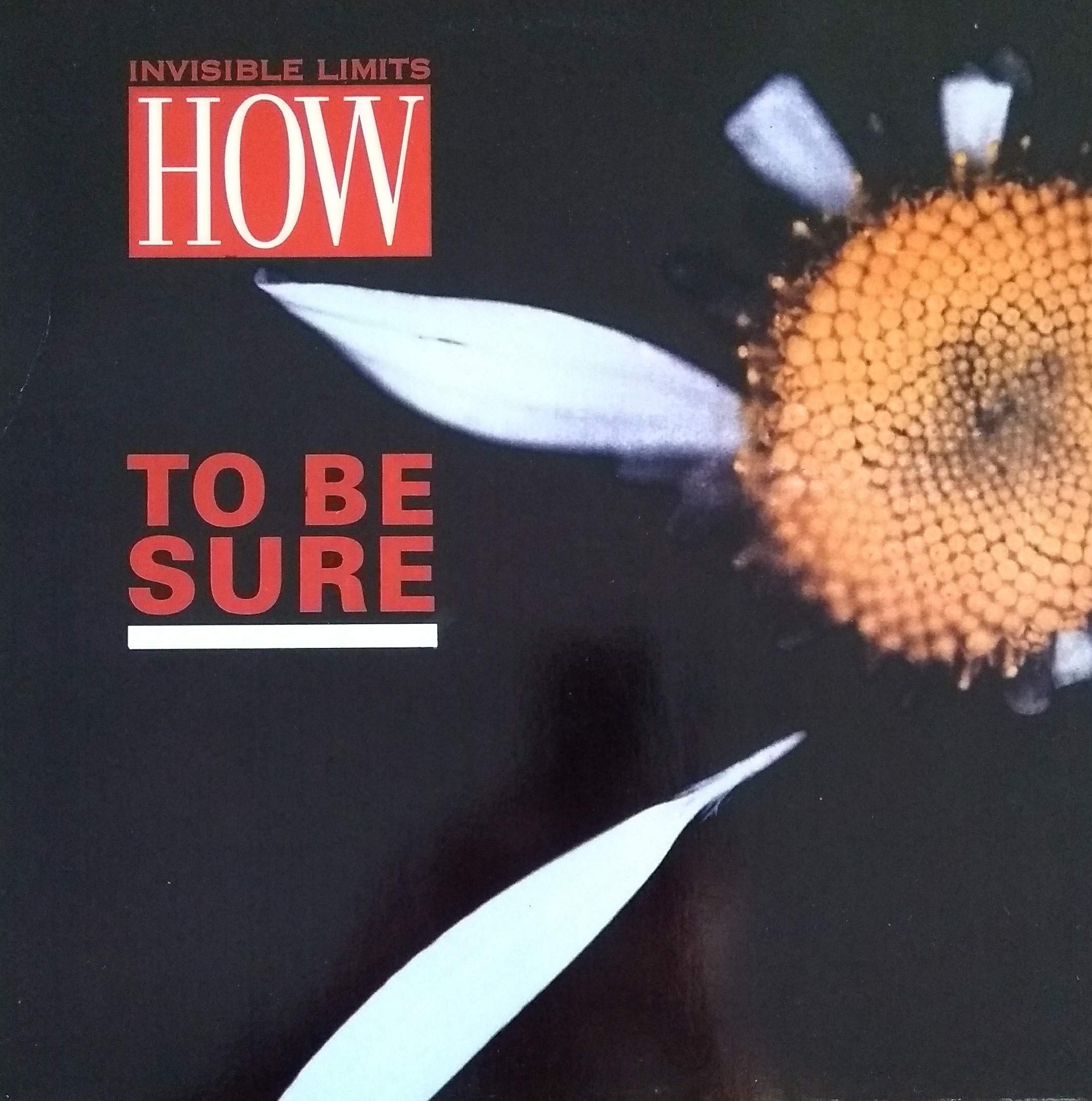 How to Be Sure (x2+1) [Import]