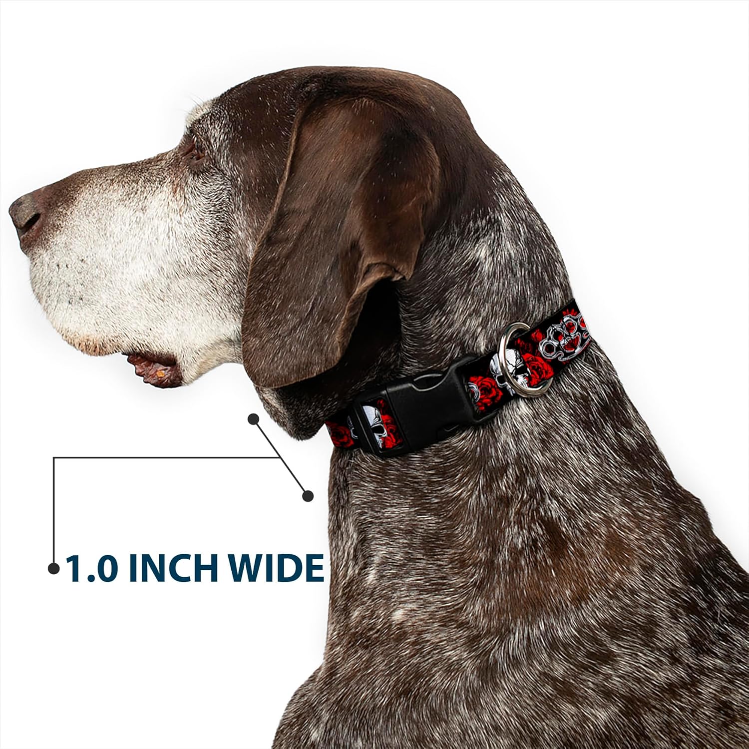 Buckle-Down Plastic Clip Collar - Brass Knuckles/Skulls/Roses Black/Red/White