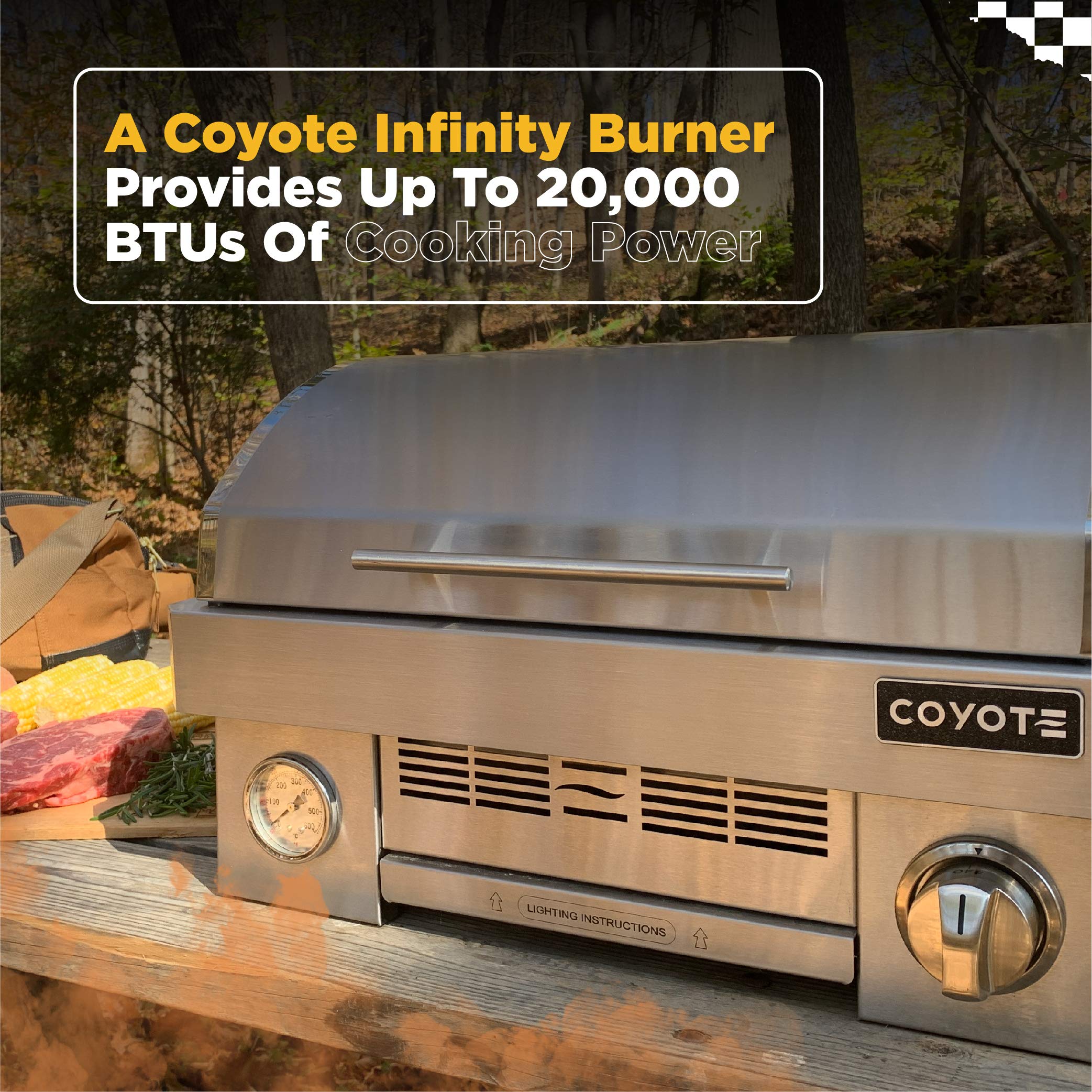 Amazon.com: COYOTE OUTDOOR LIVING Portable Propane Gas Grill, 25