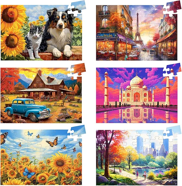 Biarek 6 Pack 36 Large Piece Puzzles for Seniors Puzzle Dementia Alzheimer's Products Activities for Elderly Adults Easy Jigsaw Puzzle Alzheimer's Gift for Patients in Nursing Home with 6 Storage Bags