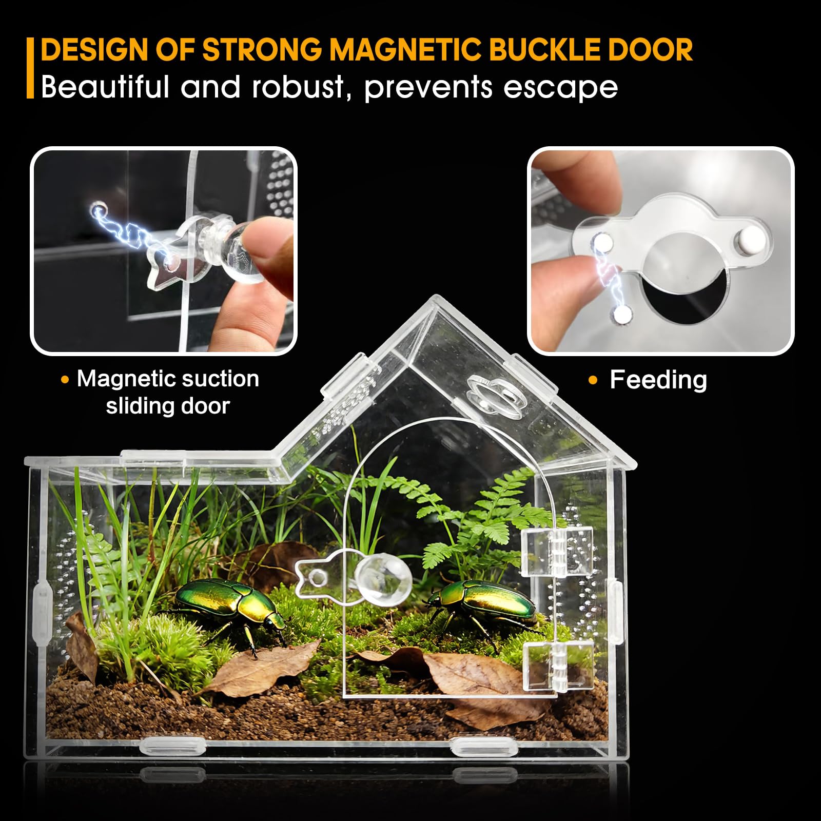 Enclos en acrylique pour araignée sauteuse avec fermeture magnétique - Boîte de terrarium transparente ventilée pour tarentules, geckos, mantes, bernards-ermites, escargots et autres petits - 5