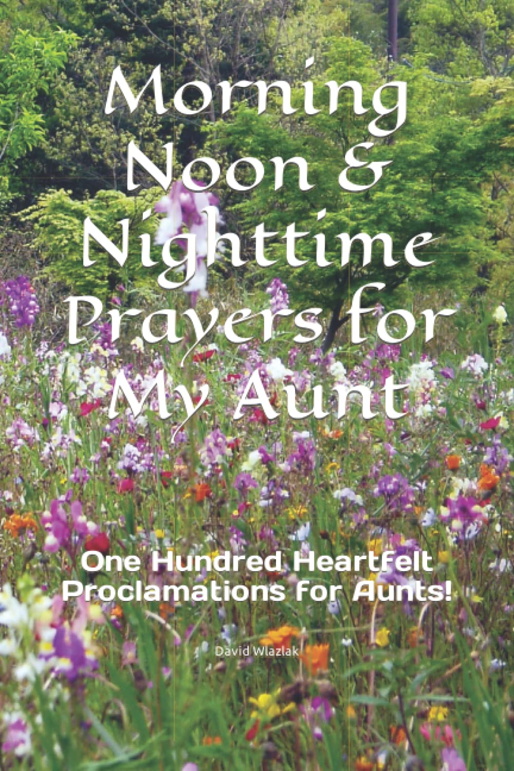 Morning Noon & Nighttime Prayers for My Aunt: One Hundred Heartfelt Proclamations for Aunts! (The Family Prayer Series)